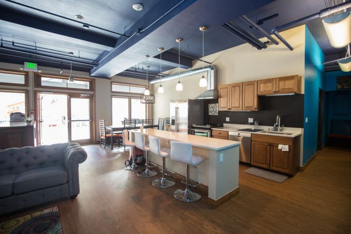 living room combined with kitchen in loft style