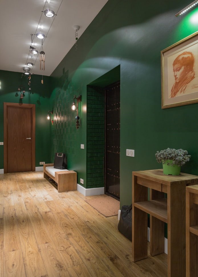 hallway design in dark tones