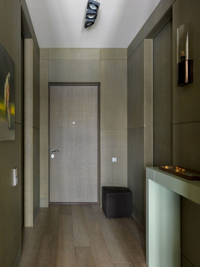 hallway design in dark tones