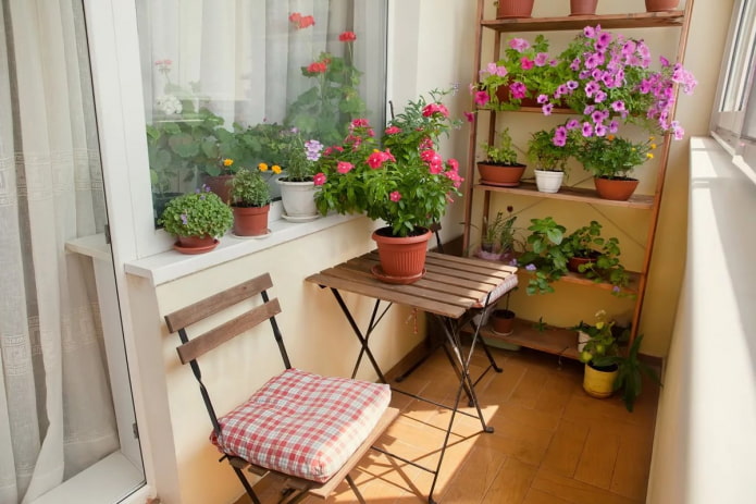 flowers inside the balcony
