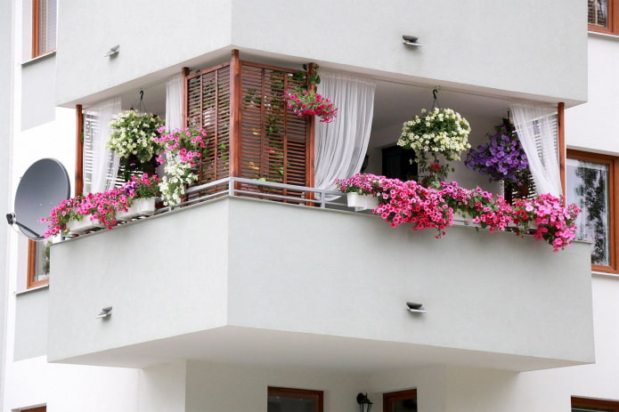 decorating a balcony with flowers