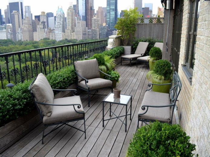 boxwood on the balcony