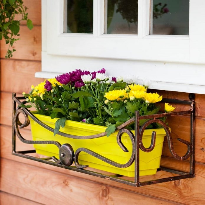 flowerbed outside the window