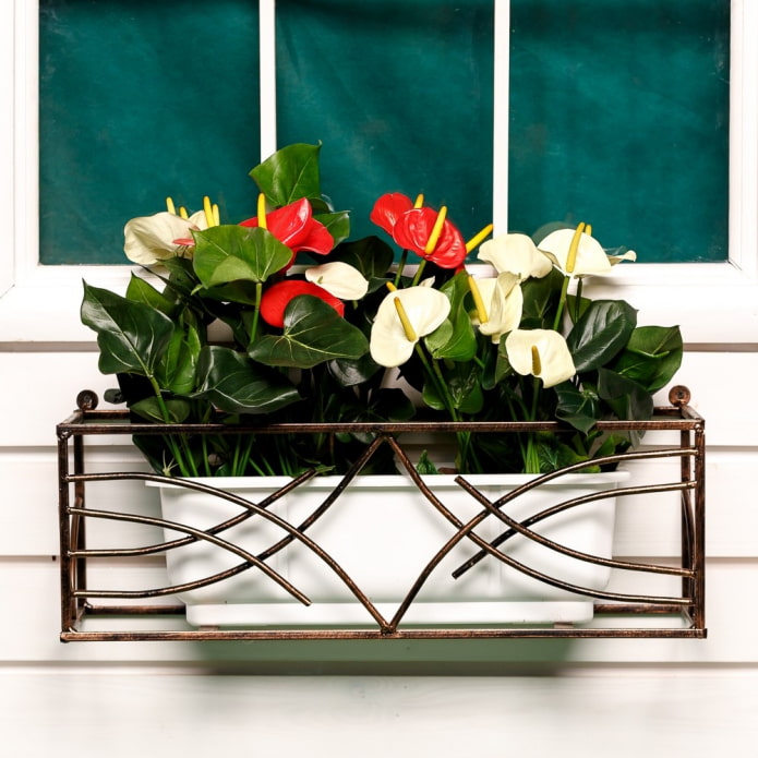 flowerbed outside the window