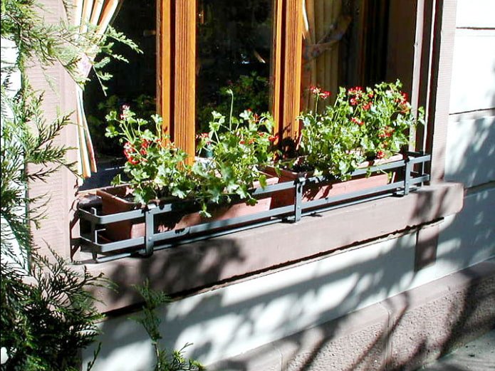beautiful flowerbed on the windowsill