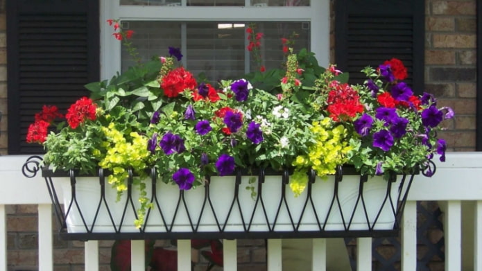baskets with flowers