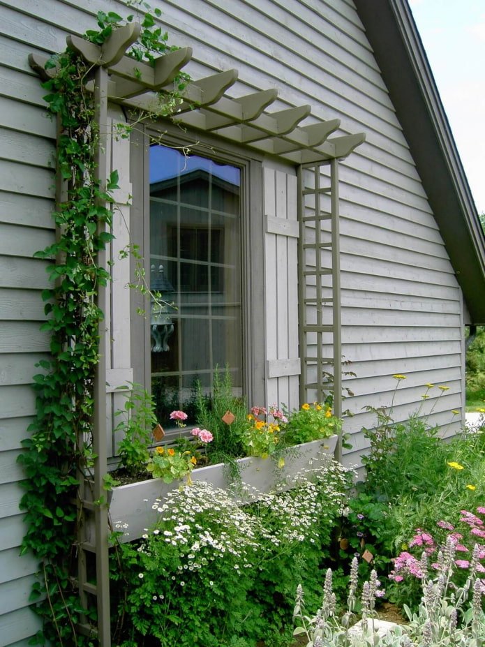 pergola around the window