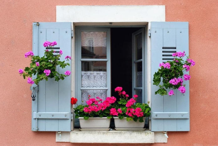 shutters with flowers