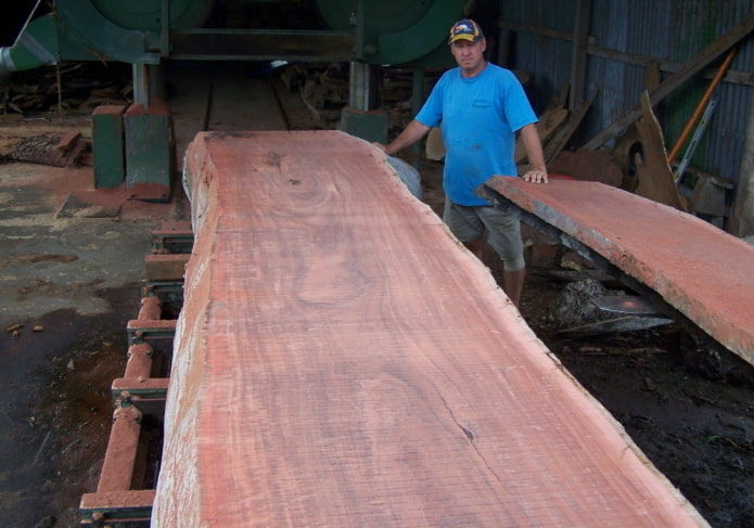 sliced amazon jarrah