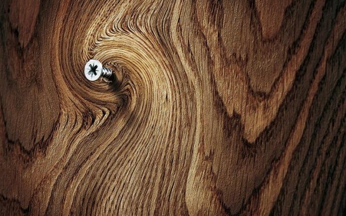 Self-tapping screw in wood