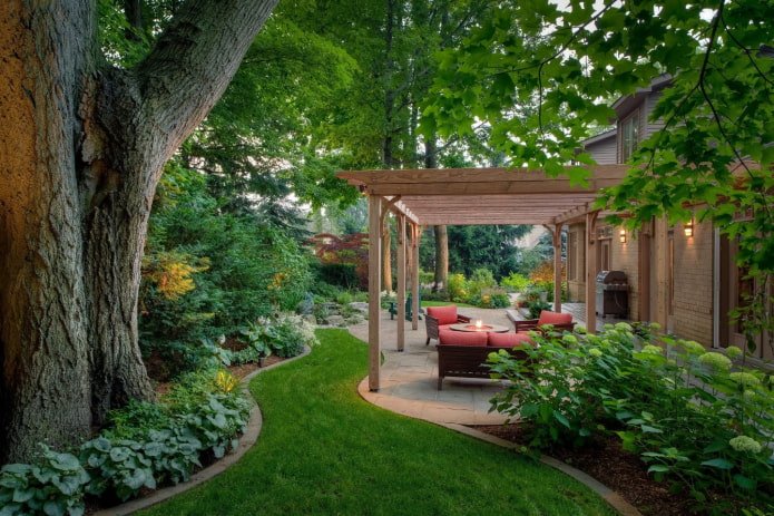 recreation area in the backyard