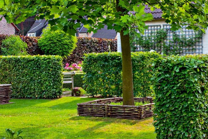 zoning with a hedge