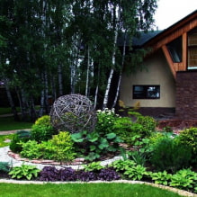 How to develop a plot of 8 acres?-1