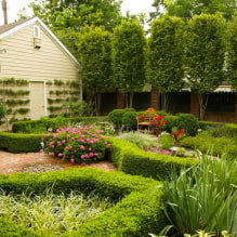 How to arrange a plot of 8 acres? - 4