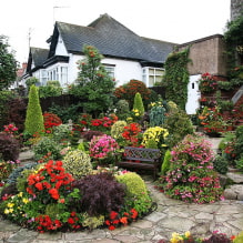 How to arrange a plot of 8 acres? - 5