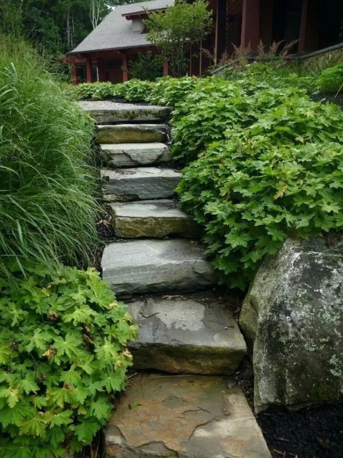 stone stairs in the garden