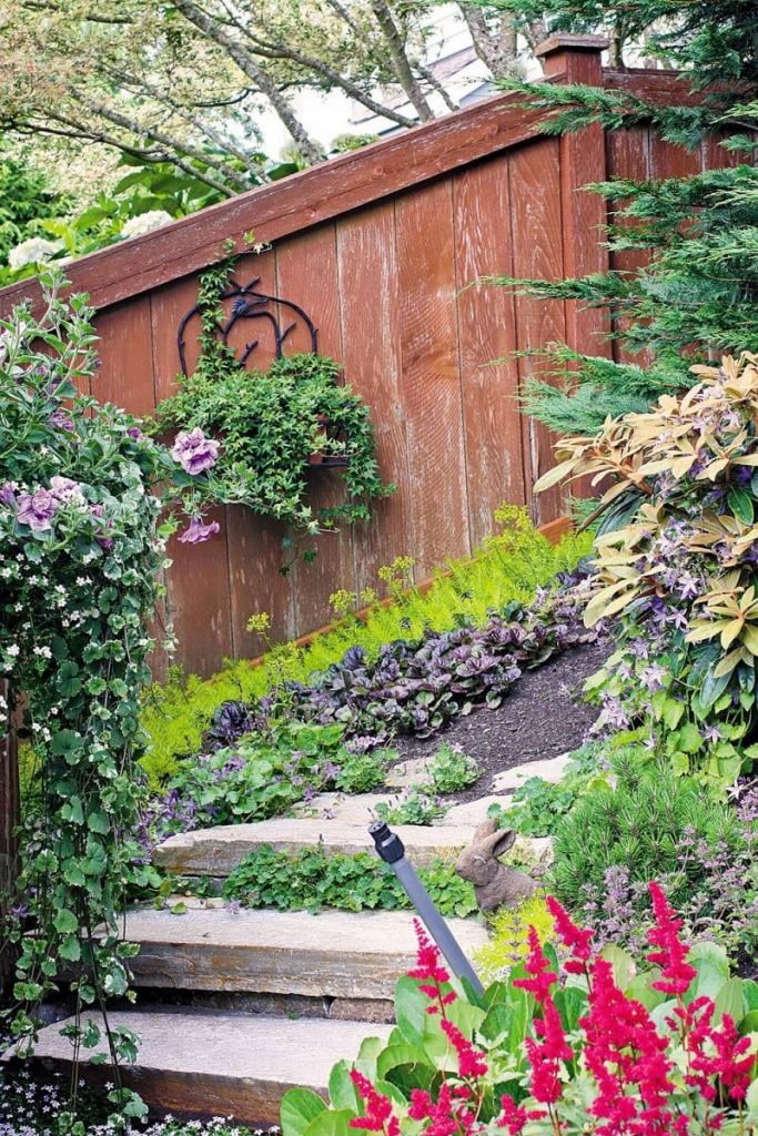 plants along stairs