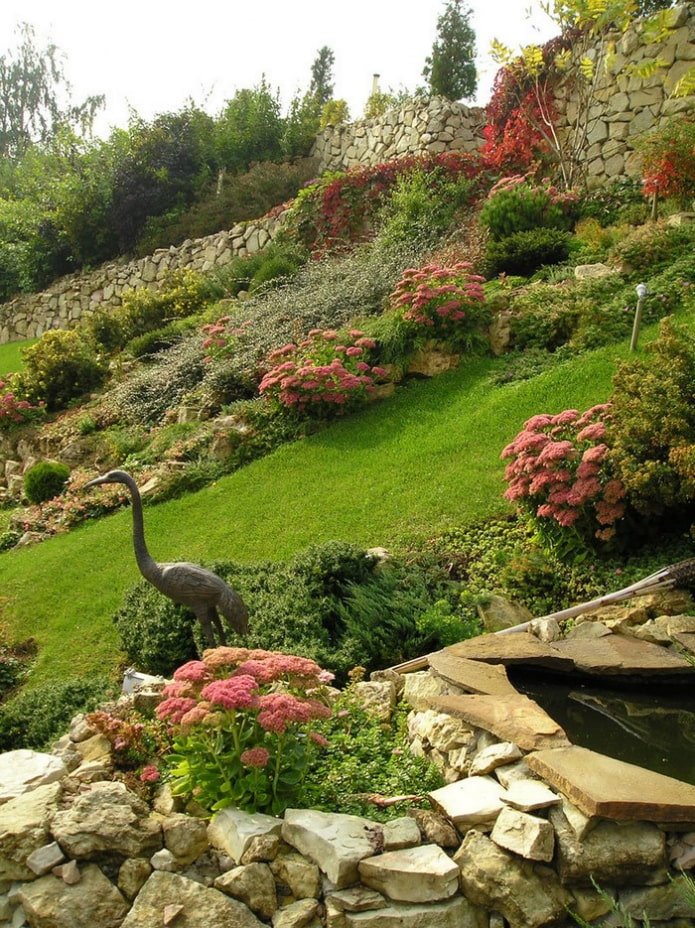 large alpine slide