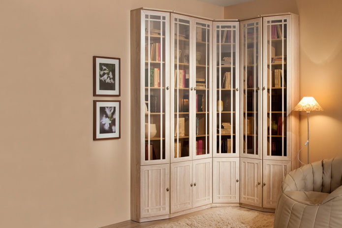 corner cabinet for books in the interior hall