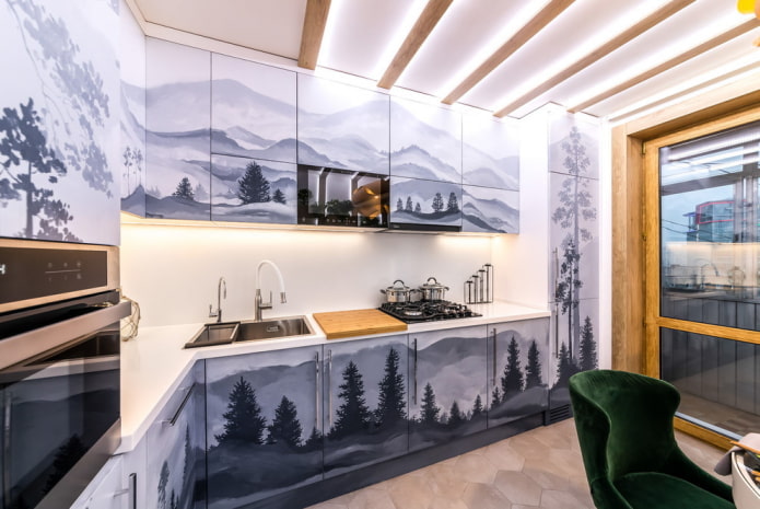 kitchen in the shape of a corner in a modern style