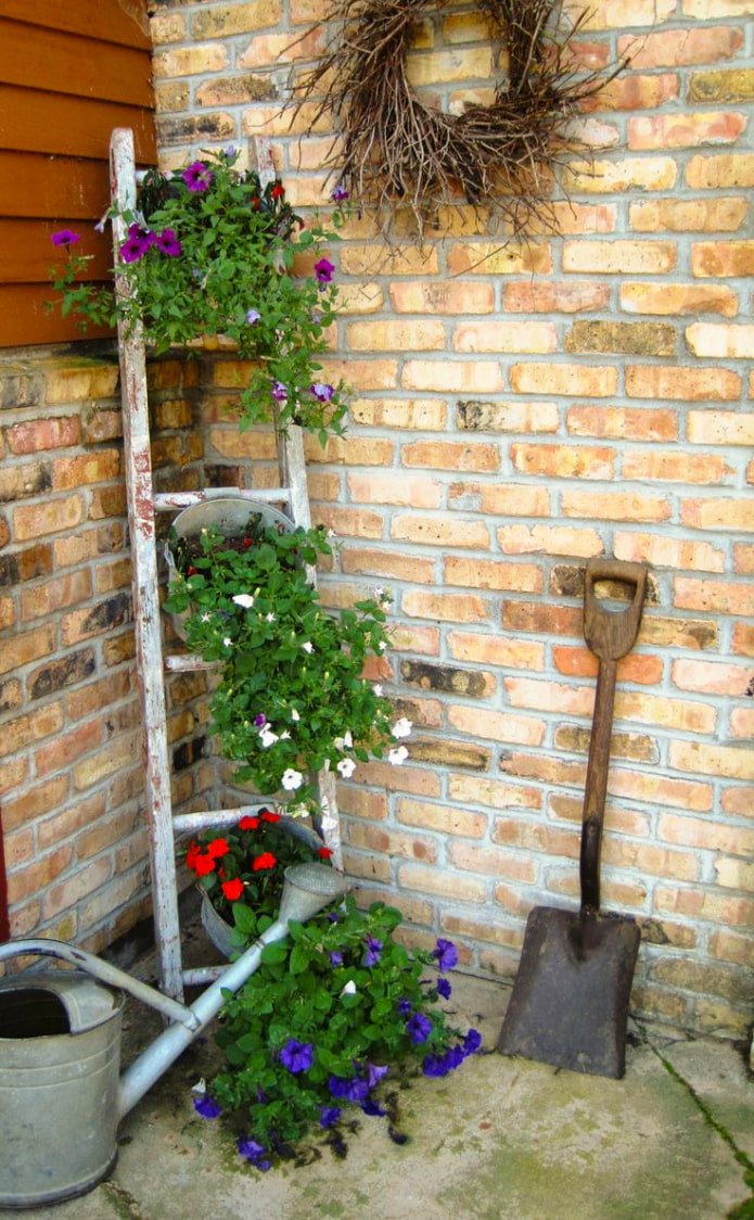 Staircase near the house