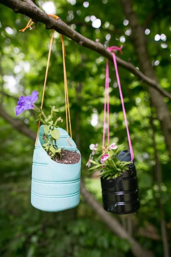 Hanging planters from bottles