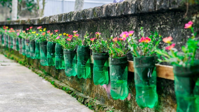 Flowerbed on a fence made of bottles