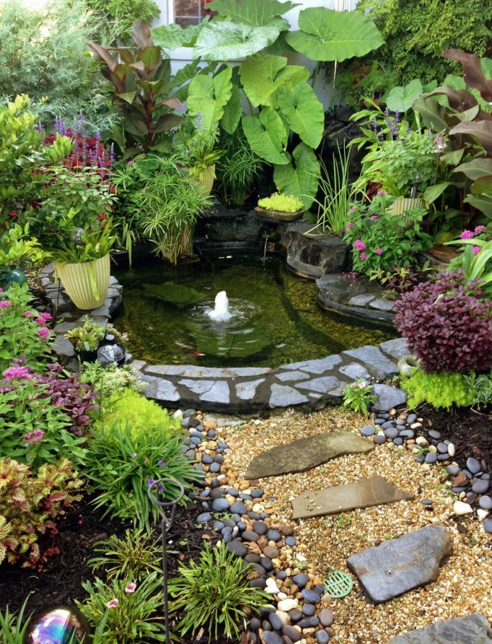 Pond with a fountain
