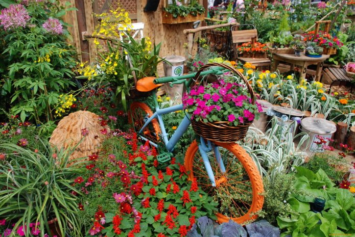Bicycle in flowers