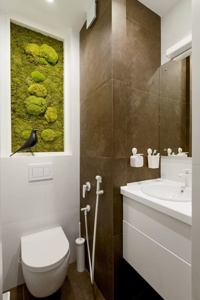 Stabilized moss over the cistern