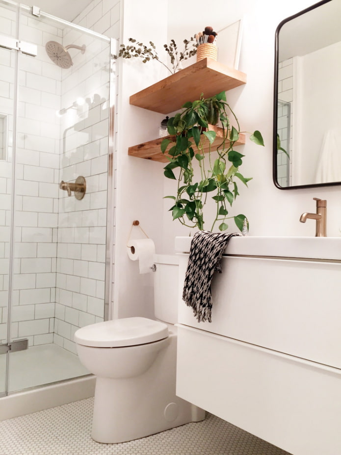 Shelves above the cistern