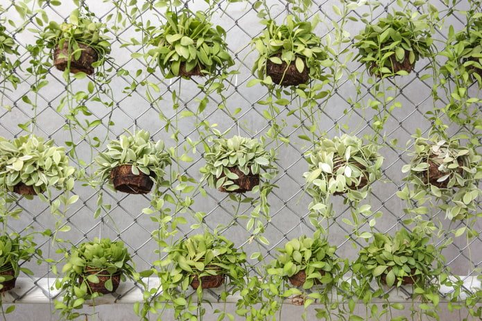 flower pots on the chain-link mesh