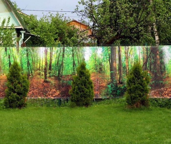 photo net on chain-link fencing