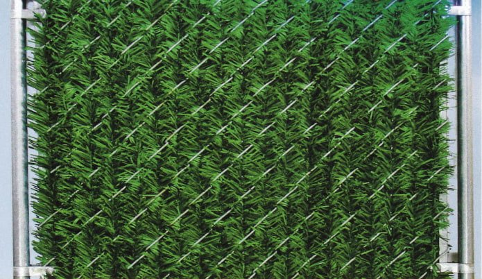 artificial pine needles in a chain-link fence