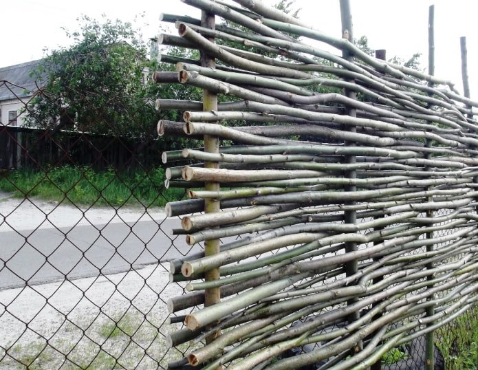 branches in a chain-link fence