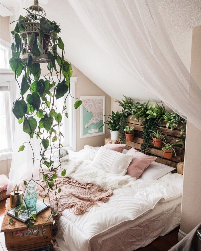 live plants in the bedroom