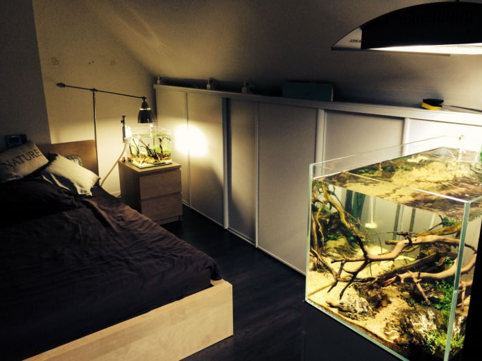 small aquariums in the bedroom