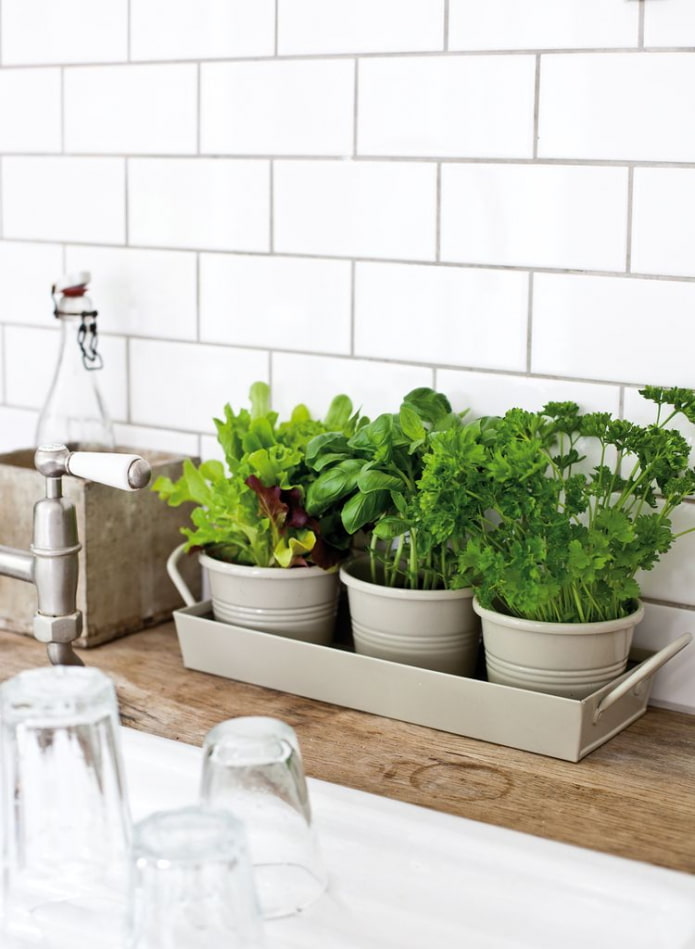 Greens on the countertop