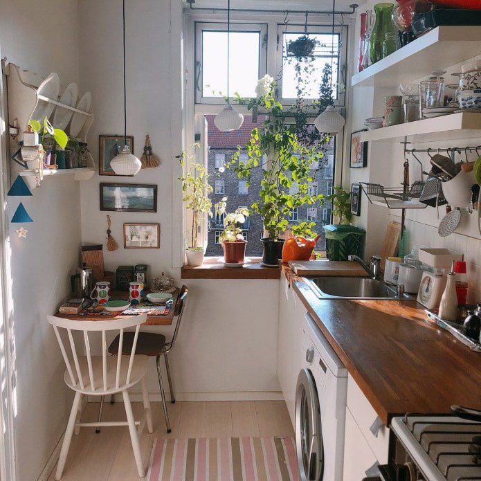 Plants on the windowsill
