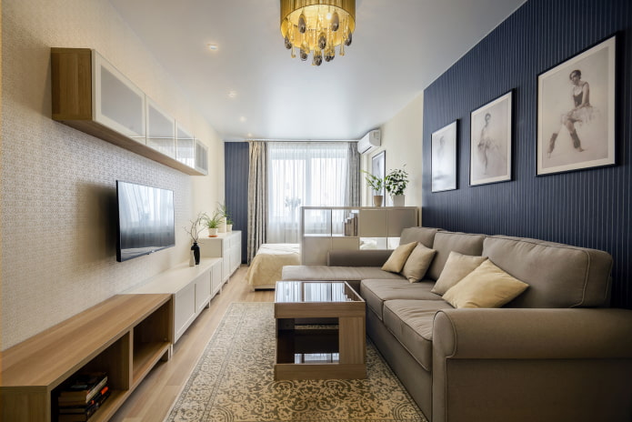 narrow living room-bedroom