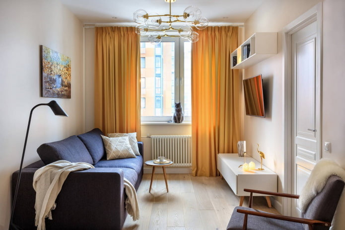 narrow living room with sofa