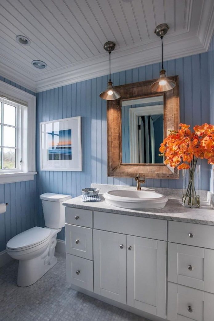 narrow clapboard in the toilet