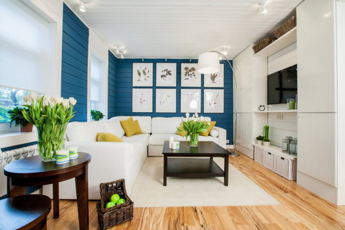 blue paneling in the living room