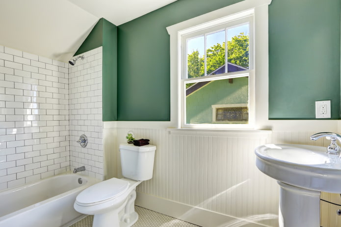combination of clapboard and paint