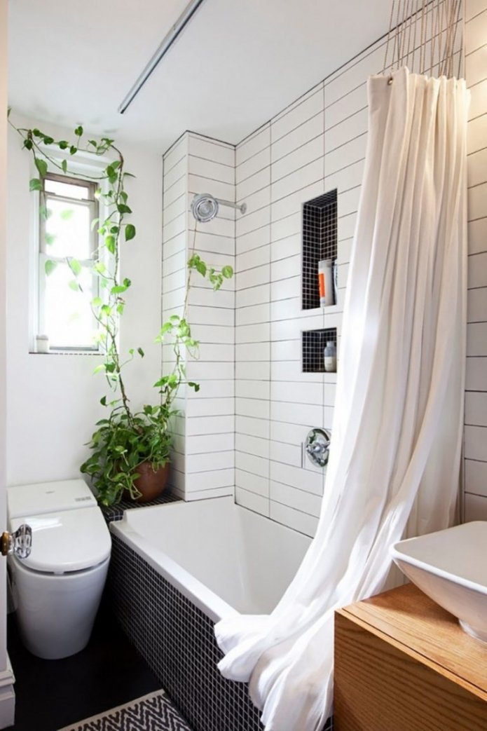 white walls of the bathroom