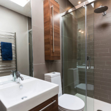 How to beautifully decorate the interior of a 2-room bathroom?-1