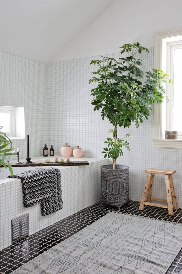 Plants in the bathroom