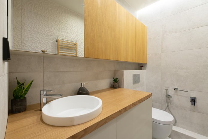 minimalist style toilet interior
