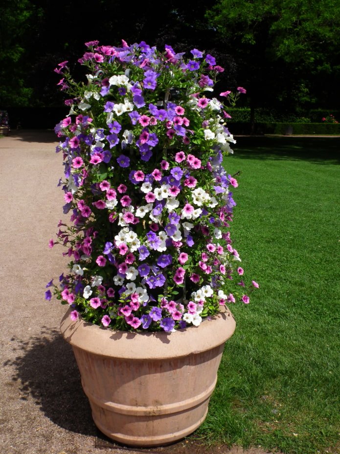 Vertical flower bed