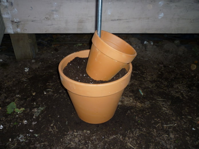 Two pots for a flowerbed